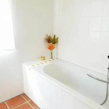 Ferienhaus Maillelevant *